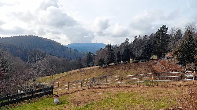 Viel Wiese, viel Wald, viel Himmel. So sieht der Blick vom Wohnzimmerbalkon Barbara Kellenbergers und Daniel Kerns aus.