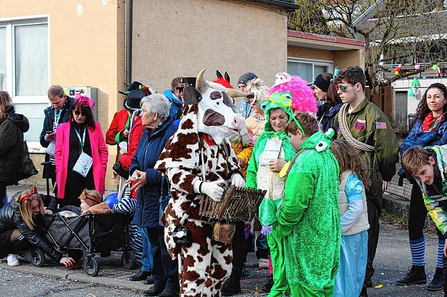 Bild 2: Bilder vom Narrentreffen in Winterspüren &ndash; Teil 2