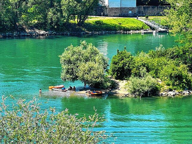 Rund um die Fridolininsel erscheint der Rhein grünlich. Vermutlich aufgrund eines hohen Algengehalts im Wasser.