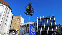In der Fasnet 2021 mag so gut wie alles anders sein, ein Narrenbaum ragt auf dem Adenauerplatz vor dem Häfler Rathaus aber pünktlich zum ...