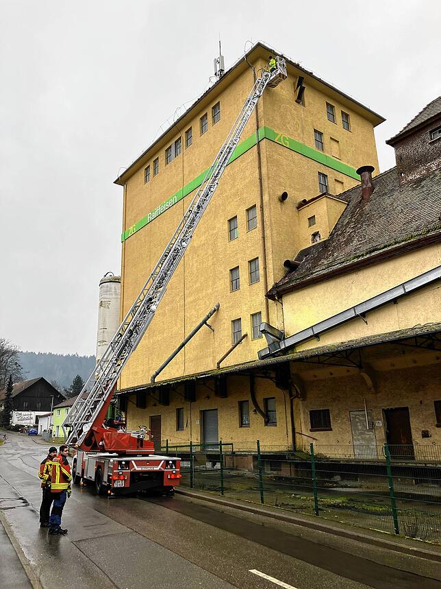 Vor einigen Wochen wurden weitere Nester, die der Ansiedlung von Falken dienen sollen, im Stadtgebiet angebracht.