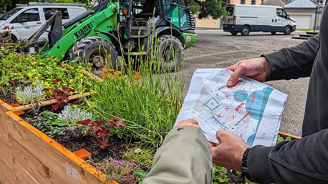 Im Juni entsteht auf dem Pfalzgarten ein Sommerort. Dafür stellten die Technischen Betriebe die ersten Hochbeete auf.