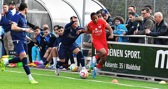 Bild 8: VfB Waldshut gewinnt Derby gegen den FC Tiengen 08 mit 3:1 &ndash; und wir haben Bilder!