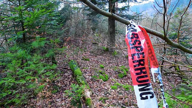 Wenige Meter abseits des oberen Bergseeparkplatzes wurde am ersten Weihnachtsfeiertag 2018 der skelettierte Schädel eines Menschen ...
