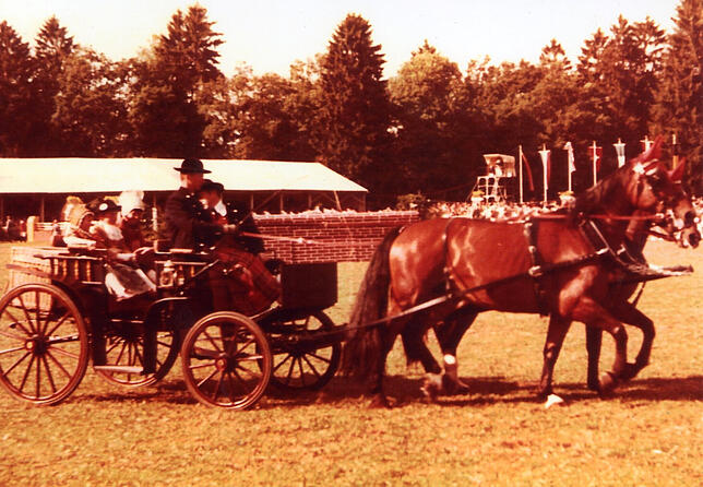 Manfred Riegger fährt 1972 im Doaueschinger Reitstadion zweispännig. ,Meine Kinder Gabi und Brigitte saßen in Tracht in der Kutsche, ...