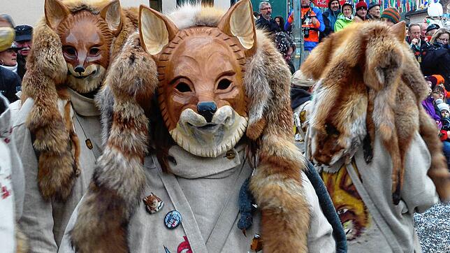 Die Egginger Füchse waren 2023 Gastgeber des Kleggau-Narrentreffens. (Archivbild)