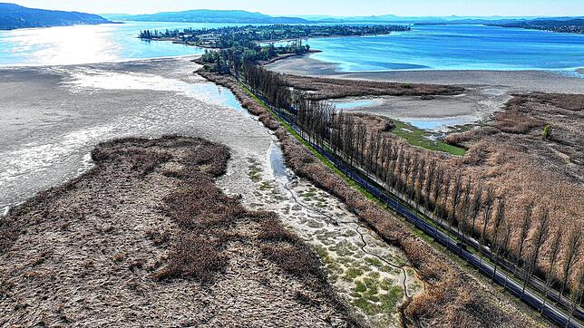 Vor der Insel Reichenau liegt das Wollmatinger Ried fast auf dem Trockenen. Welche Geheimnisse kann das Niedrigwasser zutage befördern?