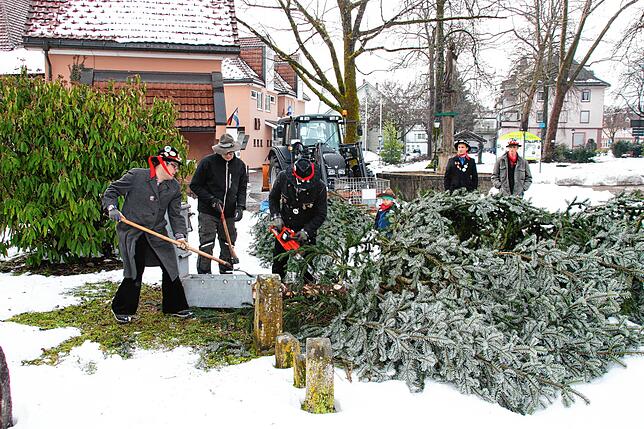 Vorbereitet: Die Metamorphose des Weihnachtsbaums beginnt.