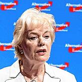 Unter anderem mit an Bord: die prominente AfD-Politikerin Erika Steinbach.