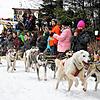 Am letzten Januarwochenende 2023 sollen die Schlittenhunde in Todtmoos wieder auf dem Trail unterwegs sein. Unser Bild entstand bei der ...