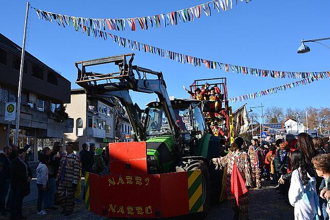 Bild 37: Bilder vom Narrentreffen der Urviecher-Zunft Bad Dürrheim: Großer Festumzug (3)