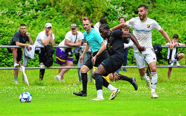 Bild 4: Die Südsterne feiern! Unsere große Bildergalerie vom Relegationsspiel zwischen Singen und Laufenburg