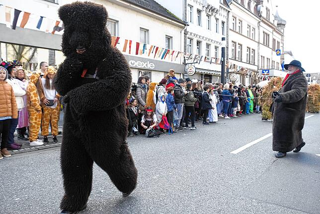Bild 1: Alle Bilder zum Narrenbaumzug durch die Singener Innenstadt