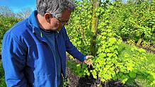 Landwirt Martin Baur aus Friedrichshafen zeigt auf die Blüten am Baum.