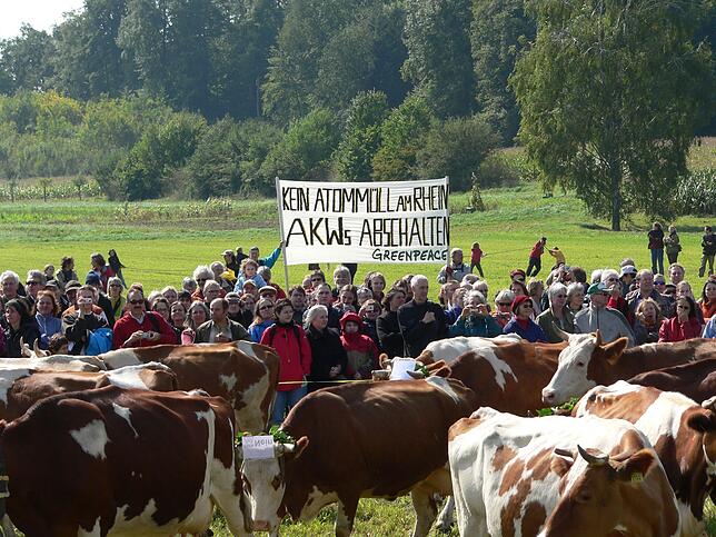 Gegen ein Atommülllager am Hochrhein formieren sich Proteste in der Bevölkerung.