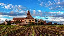 Die romanischen Kirchen inmitten der Kulturlandschaft der Insel Reichenau sind ein UNESCO Welterbe. Die Kirche St. Peter und Paul (Bild) ...