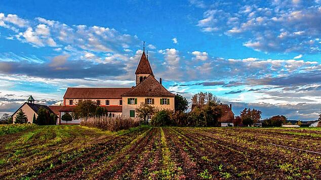 Die romanischen Kirchen inmitten der Kulturlandschaft der Insel Reichenau sind ein UNESCO Welterbe. Die Kirche St. Peter und Paul (Bild) ...