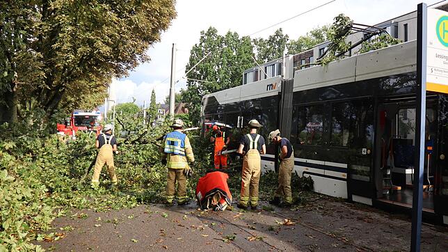 In Mannheim stürzte ein Baum auf eine Straßenbahn.