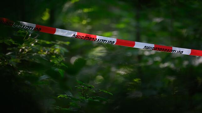 Kinder finden im Wald eine Leiche. (Symbolfoto)