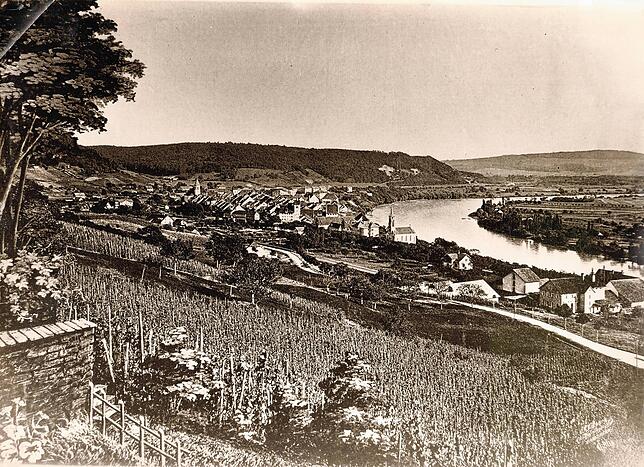 Der Fotobeweis: Um 1890 standen auf dem Haspel über Waldshut Weinreben. Bild: Stadtarchiv Waldshut-Tiengen