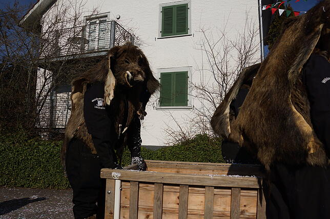 Bild 19: Küssaberger Narrentreffen 2025: Rheinheim feiert Fasnacht