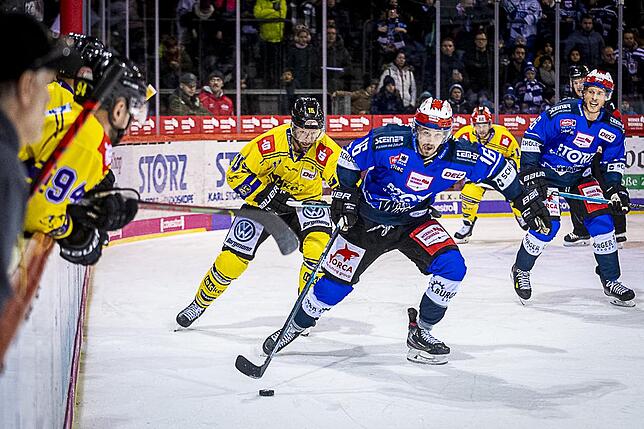 Bild 40: Bilder: Wild Wings vs. Krefeld Pinguine