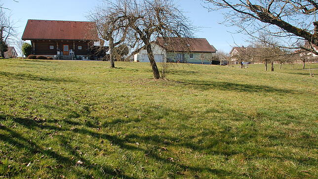 Auf diese Wiese in Adelhausen kommt der Naturkindergarten mit zwei Bauwagen. Oberhalb ist der Weg „Im Hungerich“. Eltern dürfen den Weg ...