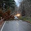 Sturmtief Sabine sorgte im Februar für umgestürtze Bäume. Hier auf der Strecke Wehr in Richtung Rickenbach-Bergalingen, noch vor der ...