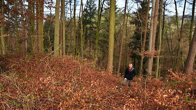 Kreisarchäologe Jürgen Hald steht im Graben neben dem Wall auf dem Keller (links), der im Lauf der Jahrhunderte, vielleicht auch ...