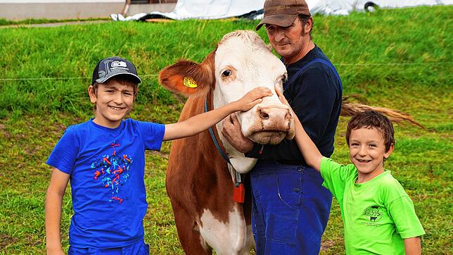 Die Kinder sind froh, wieder bei Kuh Rosi zu sein (von links): Johannes (links) und Jonathan mit ihrem Vater, Landwirt Hubert ...