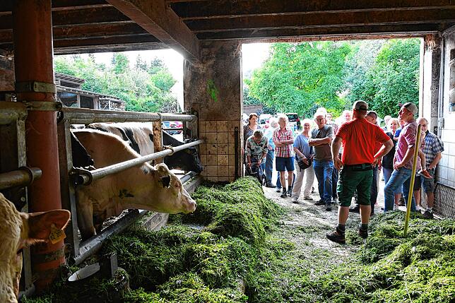 Einen Blick in den Bullenstall haben die Besucher auch bekommen.