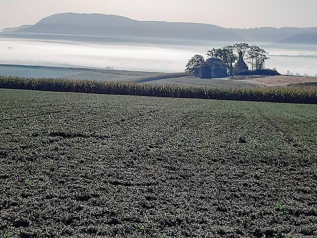 Herbstmorgen auf den deutsch-schweizerischen Höhen des Klettgau