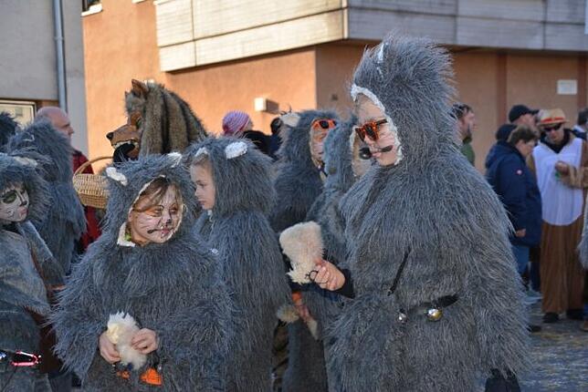 Bild 28: Bilder vom Narrentreffen der Urviecher-Zunft Bad Dürrheim: Großer Festumzug (5)
