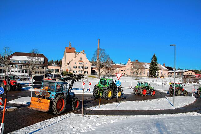 Bild 30: Bauern protestieren gegen Sparpläne: Bilder vom Traktorkorso zur Brauerei Rothaus