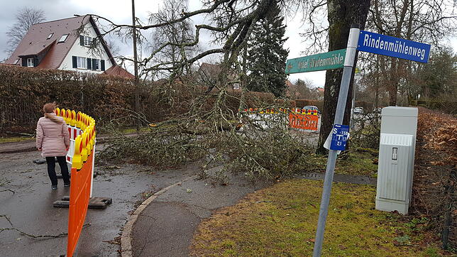 Die Kreuzung von Oberer Waldstraße und Rindenmühlenweg im Villinger Kurgebiet ist gesperrt. Ein Baum ist auf die Fahrbahn gestürzt.