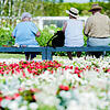 Die Bundesgartenschau in Heilbronn ist Ziel des katholischen Frauenbunds, Zweigverein Triberg, am Dienstag, 10. September. Anmeldungen ...