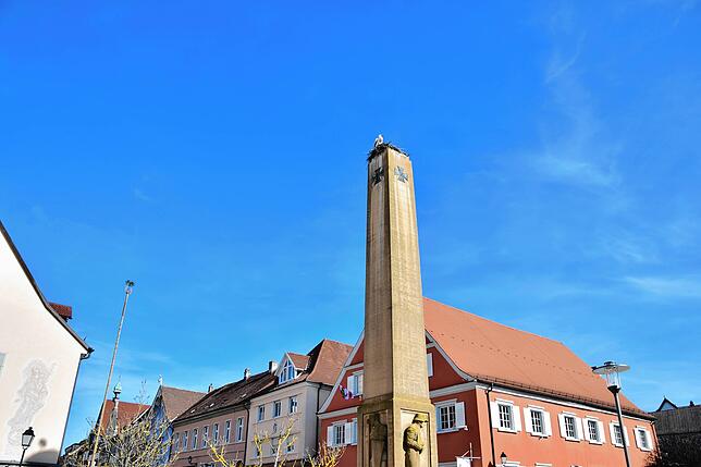 Bild 6: &bdquo;Ohhh, guck, d&lsquo; Storch isch da!&ldquo; Die Stockacher freuen sich, dass Hans wieder im Nest in der Oberstadt klappert