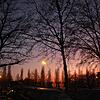 Die Bäume am Rande des heutigen Parkplatzes Döbele in Konstanz sollen weitgehend erhalten bleiben. Auf dem Areal sollen rund 250 ...