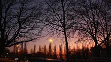 Die Bäume am Rande des heutigen Parkplatzes Döbele in Konstanz sollen weitgehend erhalten bleiben. Auf dem Areal sollen rund 250 ...