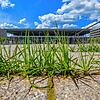 Gras wächst in einer Fuge vor dem Terminal des Hauptstadtflughafens Berlin Brandenburg Willy Brandt (BER). Ende Oktober soll er nun ...