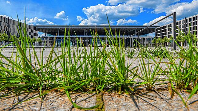 Gras wächst in einer Fuge vor dem Terminal des Hauptstadtflughafens Berlin Brandenburg Willy Brandt (BER). Ende Oktober soll er nun ...