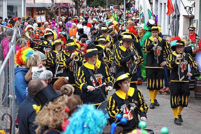 Bild 19: Bilder vom Fastnachtsumzug in Radolfzell (Teil 2)