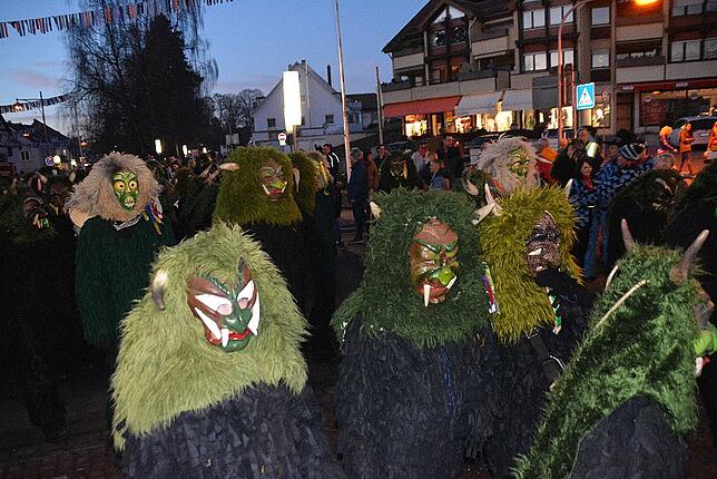 Bild 7: Narrentreffen der Urviecher-Zunft: Bilder vom Eröffnungsumzug (1)