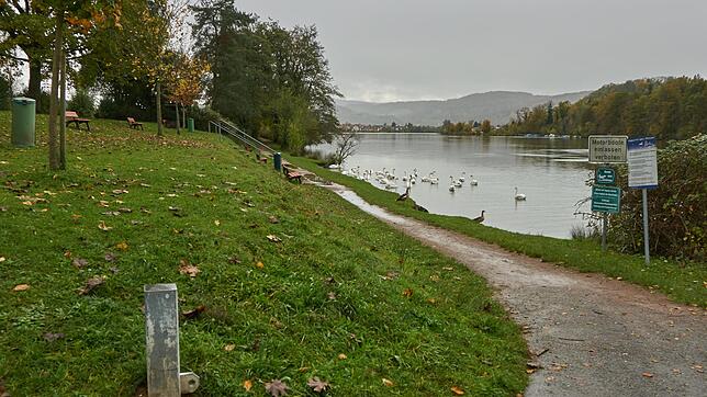 Brennet-Beach: Ähnlich wie in Rheinfelden und Basel soll die beliebte Badestelle in Brennet durch einen neuen Treppeneinstieg ...