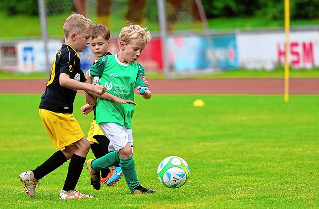 Bild 2: Unsere große Bildergalerie vom Bambini-Turnier beim Schlossseecup des FC RW Salem