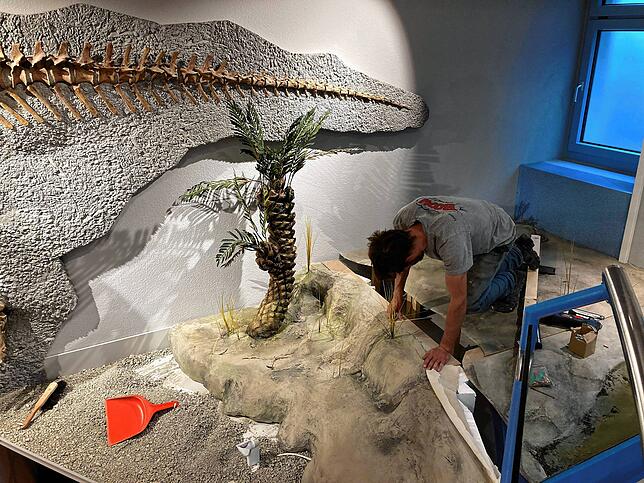 Der 2015 in der Tongrube Frick entdeckte Plateosaurus Fabian ist fertig präpariert und wird seit Mai 2020 im Sauriermuseum ausgestellt.