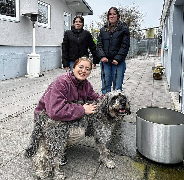 Die Schülerinnen Samia, Emilia und Eva mit Hund Benni.