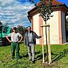 Sören Hauhut von der Firma Saum und Bürgermeister Florian Zindeler vor der Kapelle St. Eligius in Kalkofen bei einem der neuen Bäume.