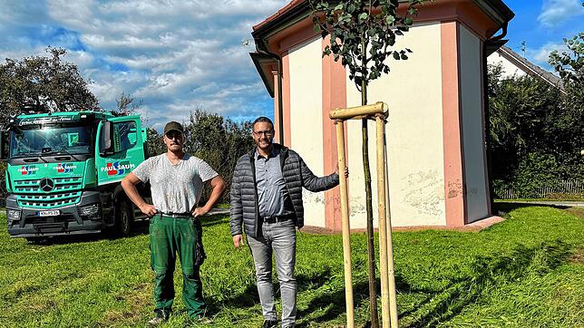 Sören Hauhut von der Firma Saum und Bürgermeister Florian Zindeler vor der Kapelle St. Eligius in Kalkofen bei einem der neuen Bäume.