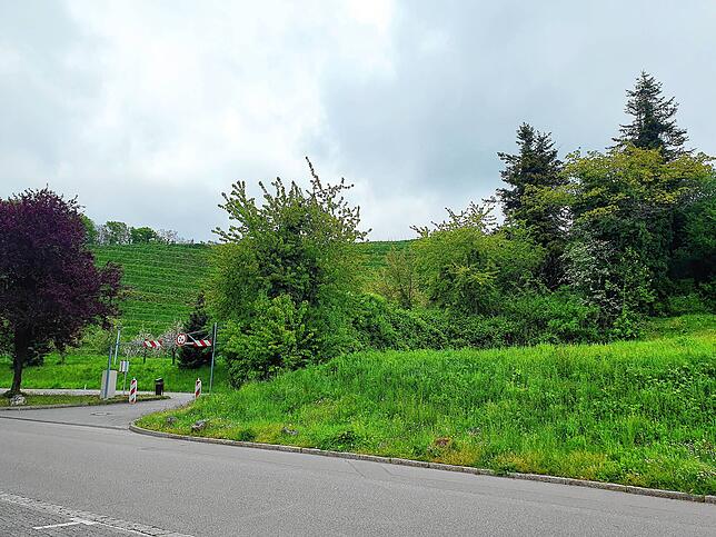 Auf dem Hämmerle-Areal gleich in der Nähe des Ufers soll ein Hotel entstehen. Laut Bürgermeister wartet man derzeit auf die finale ...